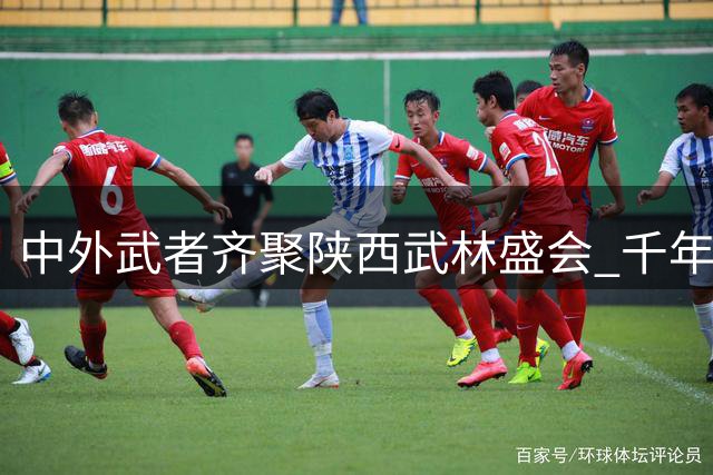 中外武者齐聚陕西武林盛会 千年武术焕发时代活力